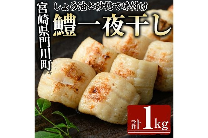 鱧の一夜干し(計1kg)ハモ 干物 魚介 おつまみ おかず 小分け 冷凍 国産 宮崎県 門川町【O-2】【門川漁業協同組合】