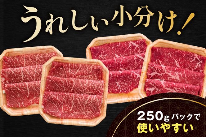 黒毛和牛 赤身肉スライス（モモ ウデ）1kg（250g×2パック×2箱）FF0000064