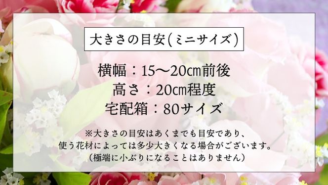 ≪定期便≫季節のお花アレンジメントミニ＊6回 アレンジメント 生花 [CT013ci]