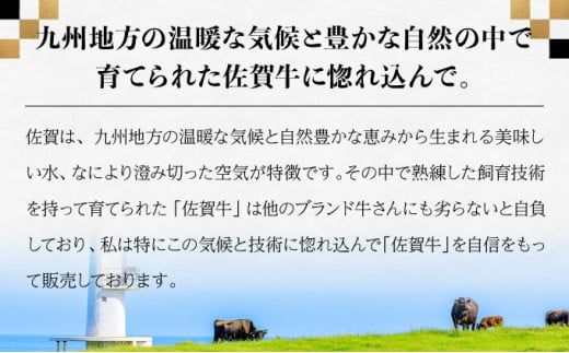 佐賀牛セット 年4回定期便コース(3人前) H-308