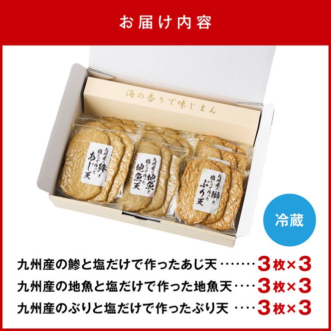 塩と地魚だけで作った天ぷらセット N006-YA4431