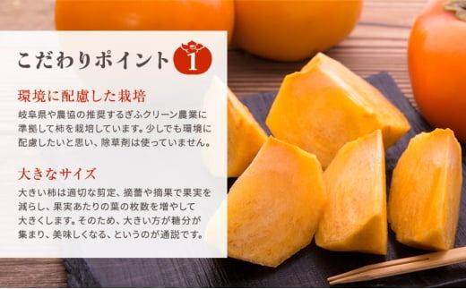 富有柿発祥の地から収穫翌日発送！【贈答用】富有柿3Lサイズ10個｜かき フルーツ カキ 果物 くだもの 産地直送 岐阜県 瑞穂市 お取り寄せ ※離島への配送不可 ※2025年11月～12月中旬頃に順次発送予定