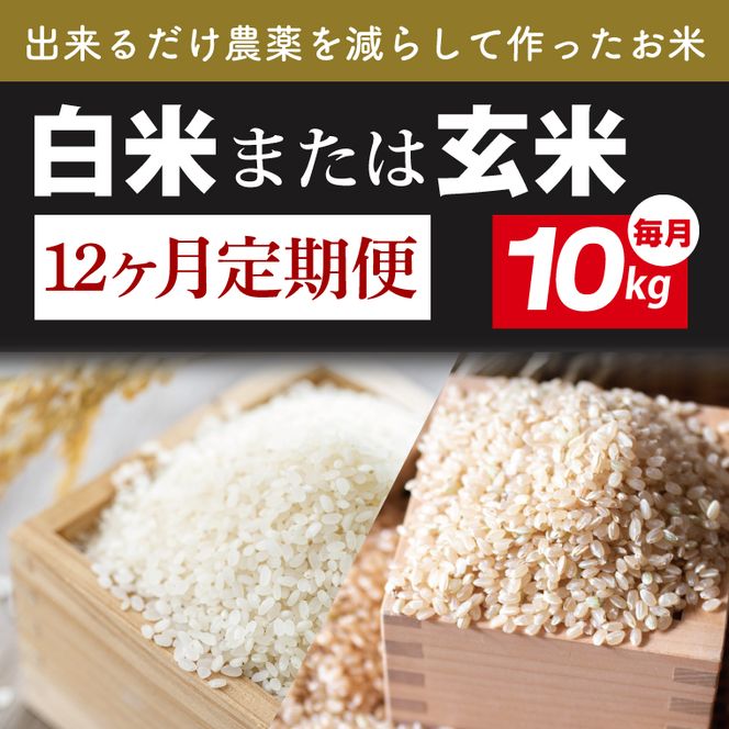 【2026年9月下旬より順次発送】【12ヶ月定期便】【できるだけ農薬を減らして作ったお米】令和8年産こしひかり 10kg(白米または玄米)｜米 こしひかり 新米 定期便(BI-86)