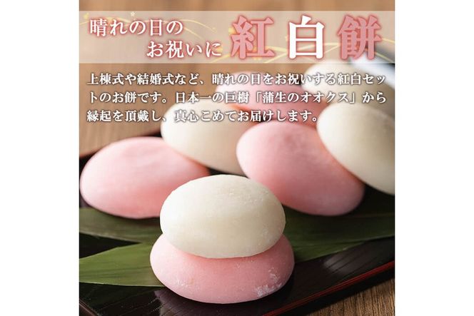 a951 選べる!紅白餅(60g×2個を15セット・100g×2個を10セット)【ちろす家】姶良市 おもち 餅 お祝い 餅投げ 餅まき イベント 個包装 和菓子 真空パック 冷凍 選べる お餅