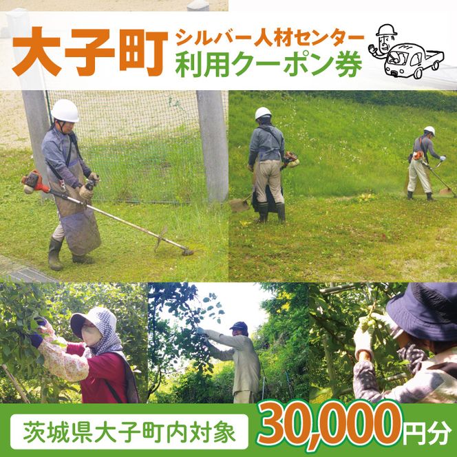 【大子町内限定】大子町シルバー人材センター　利用クーポン券　30,000円分｜利用券 チケット 補助 代行 庭 空き地 草刈り 除草 お墓 清掃 家 片付け 窓拭き 茨城県(CR005)