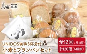 【 全12回 定期便 】栽培期間 農薬 科学肥料 不使用 小麦 と ブラン の パン セット & UNIDOS 珈琲 5杯分 ( 卵 / 乳製品 不使用 )《糸島》【天然パン工房楽楽】 【いとしまごころ】[AVC024] パン 詰め合わせ パンセット ぱん 冷凍 ギフト 小麦 ブラン