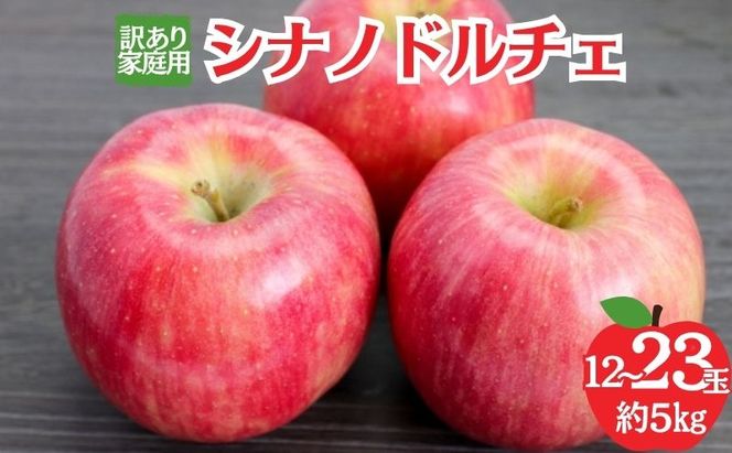 【2026年9月～発送】シナノドルチェ　訳あり家庭用　約5kg（12～23玉） りんご 果物 訳あり 信州 長野