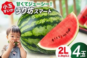 AJ636 【令和9年度出荷分】 スイカ うり坊スマート 2Lサイズ(2.3-2.8kg) 4玉 [ 小玉スイカ うり坊 ウリ坊 うりぼう ウリボー まるき農園 長崎県 島原市 ]