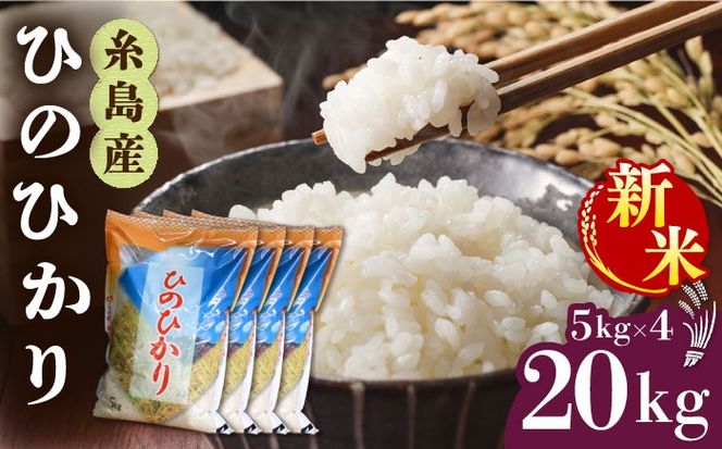 yszyߘa7NYVāzY Ђ̂Ђ 20kg y2025N11ȍ~zs / OX[AIM075]     Ђ̂Ђ qmqJ B 