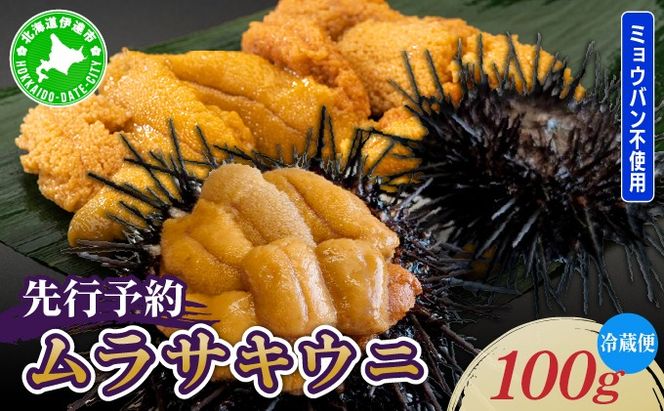 ＜先行予約＞ 北海道産 ムラサキウニ（正規品）100g【ogm-027】生うに 塩水うに ミョウバン不使用 海鮮 国産 北海道 伊達 ふるさと納税