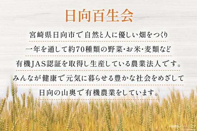 お茶 六条麦茶 ( 10g 20包 ) 10袋 [日向百生会 宮崎県 日向市 452061128] 麦茶 むぎ茶 水出し 煮出し ティーバッグ 国産 ノンカフェイン