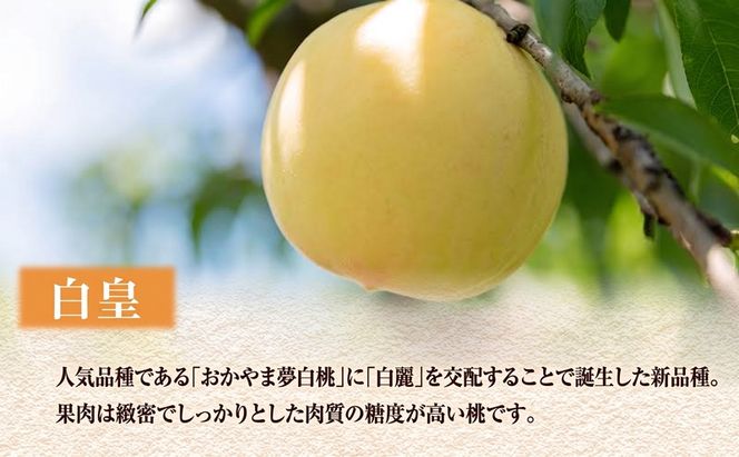 【 2027年 先行予約】 桃 岡山県産 どれも食べたい！岡山の桃 3種 満喫 プラン 3回 コースB ( 加納岩白桃 ・ 清水白桃 ・ 白皇 各1.2kg)《2027年6月下旬-8月中旬頃出荷》白桃 数量限定 期間限定 定期便