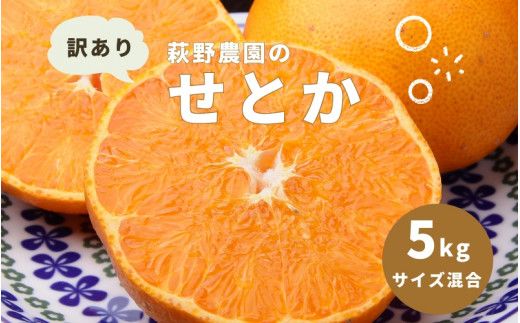 萩野農園の 訳あり せとか 5kg  サイズ混合 みかん ミカン せとか 訳アリ わけあり 家庭用 柑橘 果物 くだもの フルーツ 旬 産地直送 農家直送【2027年3月上旬から3月末までに順次発送予定】【mhn001】