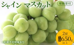 ぶどう 早期受付 シャイン マスカット 2房（1房650g以上） ブドウ 葡萄 岡山県産 国産 フルーツ 果物 ギフト 桃茂実苑