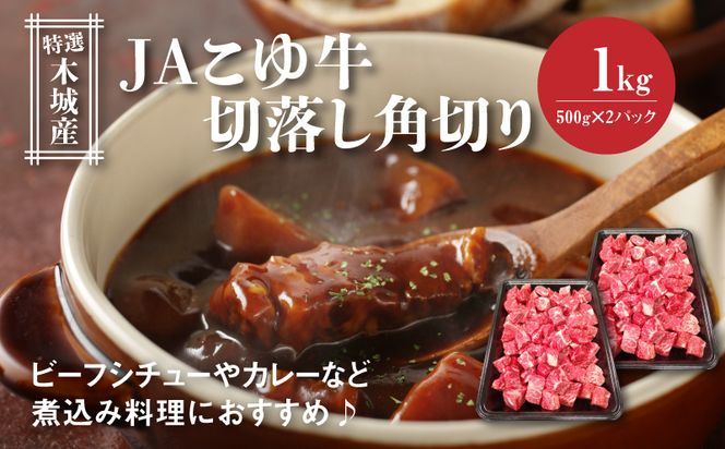 JAこゆ牛 特選木城産 切落し500ｇ×2 角切り K56_0012