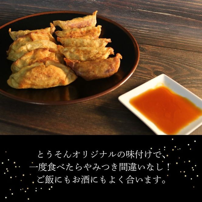 餃子 【創業50年 老舗ラーメン店が作る】手作り ジャンボ 冷凍餃子 30個入り 餃子 冷凍 冷凍食品 ぎょうざ ギョウザ ギョーザ おつまみ 静岡県 藤枝市