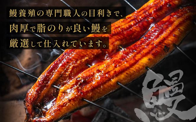 うなぎ蒲焼き(約100g）×7Pセット【魚住商店】_HA1495