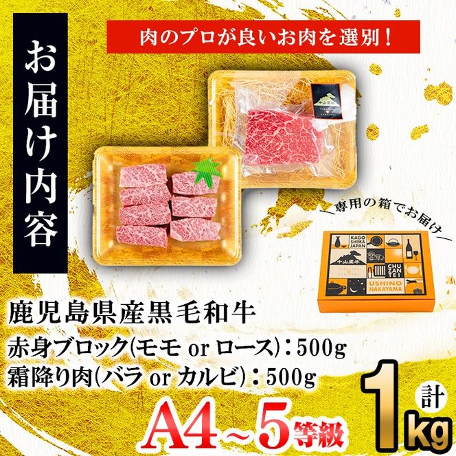 【数量限定】A4・A5等級うしの中山黒毛和牛ブロック赤身(モモorロース 500g)・霜降り肉(バラorカルビ 500g)食べ比べセット合計1kg c0-101