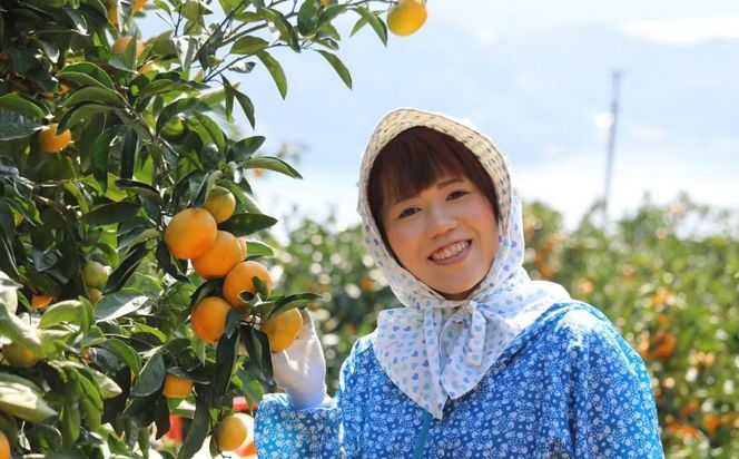 Premiumみかんジュース（2本セット）※北海道・沖縄・離島への配送不可 IKTAT002 