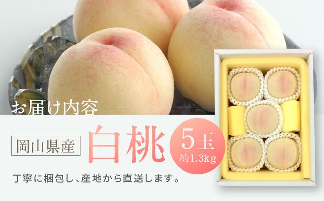 桃 2026年 先行予約 白桃 5玉 合計約1.3kg もも モモ 岡山県産 国産 フルーツ 果物 ギフト
