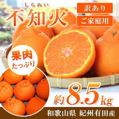 G7359_【2027年先行予約】紀州有田産 不知火 (しらぬい)【家庭用 訳あり】8.5kg