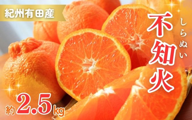 【先行予約】紀州有田産不知火(しらぬひ) 2.5kg ※2027年2月中旬頃〜2027年3月中旬頃に順次発送予定（お届け日指定不可）/ みかん 不知火 和歌山 フルーツ 有田【uot794】