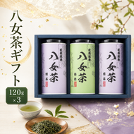 八女茶 ギフト 120g×3 SGY-50 お茶 茶 緑茶