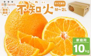 【産地直送】☆不知火☆家庭用☆約10kg  	AL09