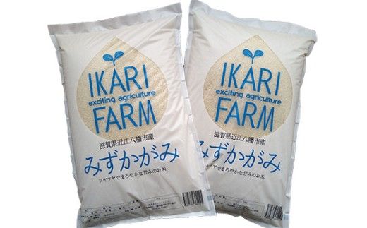 【新米　先行予約】令和8年産冷めても美味しいあっさりとした味わい「みずかがみ」白米【10kg（5kg×2袋）】【C077W】