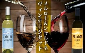 FYN6-464 【数量限定】月山山麓ワイン 赤・白 飲み比べ2本セット（メルロー・シャルドネヴィンテージ）720ml×2 ミディアムボディ 辛口 山形県 西川町