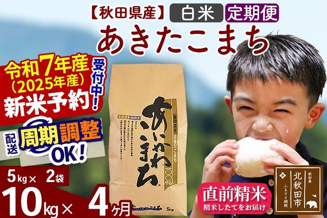 ※令和7年産 新米予約※《定期便4ヶ月》秋田県産 あきたこまち 10kg【白米】(5kg小分け袋) 2025年産 お届け周期調整可能 隔月に調整OK お米 藤岡農産|foap-10604