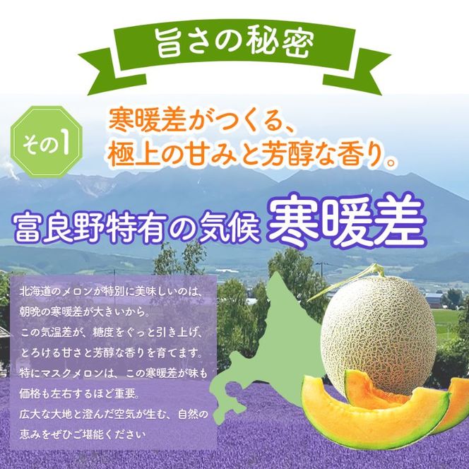 【数量限定！】北海道 富良野 メロン Lサイズ 1.3kg以上×1玉 フルーツ 果物