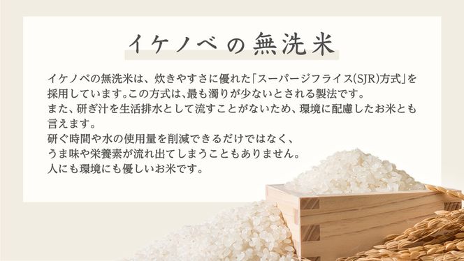 《 令和6年産 》 茨城県産 無洗米 コシヒカリ ( 5kg × 1袋 )  期間限定 こしひかり 米 コメ こめ 五ツ星 高品質 白米 精米 時短 単一米 [AC035us]