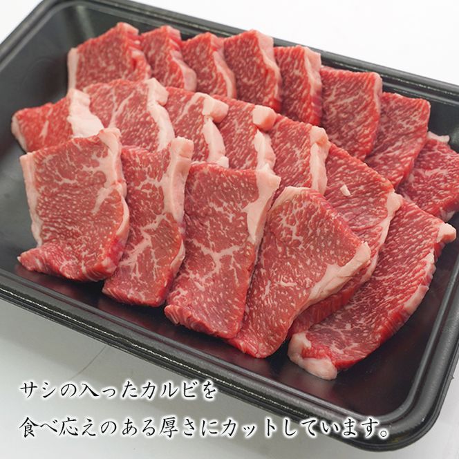 淡路牛カルビ焼肉 500g（250ｇ×2ＰＣ） 焼肉セット