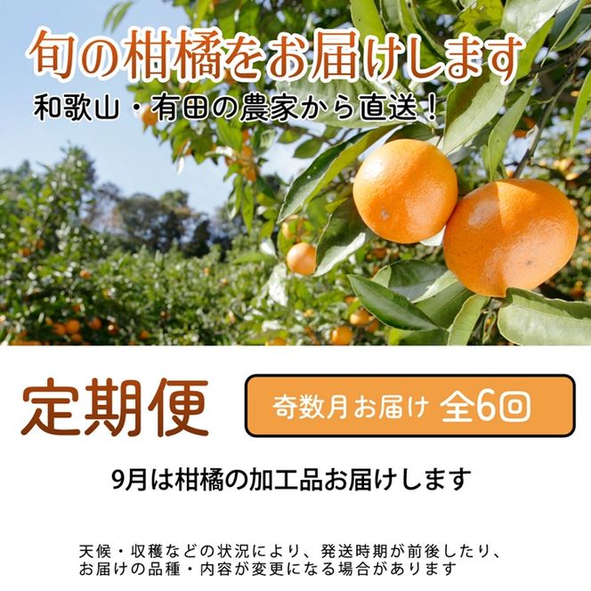 【定期便】厳選 柑橘定期便 S 6回（奇数月）※北海道・沖縄・離島への配送不可※奇数月に発送