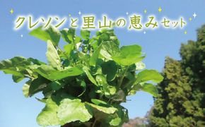 はぜのクレソンと里山の恵みセット　各シーズン11月～4月発送　３月末締め切り【000228】