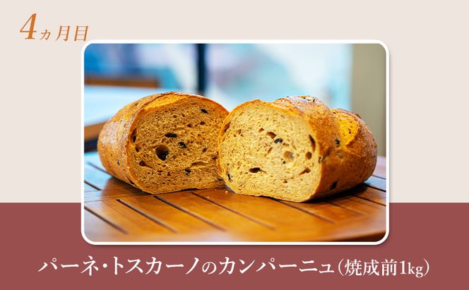 【 定期便 5ヵ月 】本場欧州のハード系パン 5種類 80%ライ麦パンと特製カンパーニュ 焼成前計4.9kg パン ライ麦パン カンパーニュ ハード系パン 冷凍