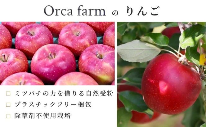 【2026年9月～発送】シナノスイート 家庭用 約5kg りんご リンゴ 林檎 果物 フルーツ 長野県 長野 山ノ内町