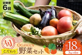 野菜 セット OGAWA'N 野菜セット 定期便 6回 [JA埼玉中央 埼玉県 小川町 137] 6ヶ月 連続 やさい 季節野菜 詰め合わせ 食べ比べ 旬 農産物