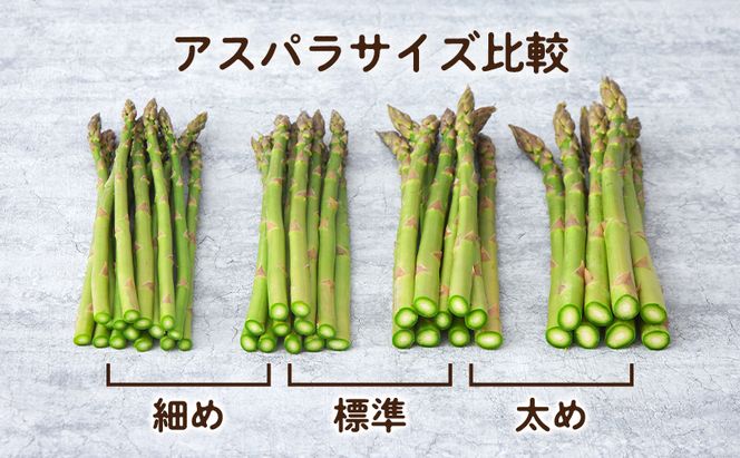 【2027年春発送】富良野産 アスパラ 約1kg 標準 (M～Lサイズ混合)中山農園 アスパラガス 野菜