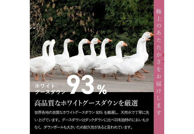 【甲州羽毛ふとん】 ロイヤルグース93%抗菌・抗ウイルス加工羽毛合い掛けふとん 【 選べるサイズ シングル / セミダブル / ダブル / クイーン 】 ホワイト 掛け布団  羽毛ふとん 布団 寝具 合い掛けふとん 抗菌 抗ウイルス 山梨 富士吉田