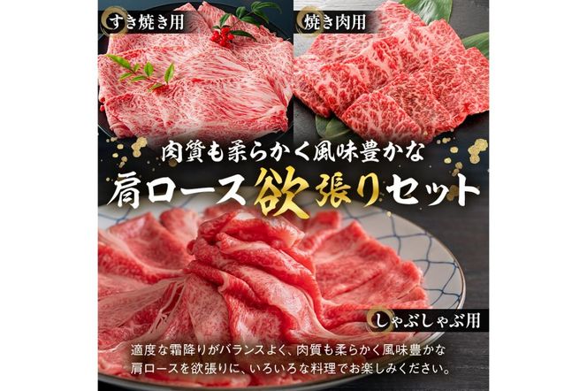 y򕌌szˋZbg@[XiNV^jiĂpEԂԗpEĂpje400y0016-044z