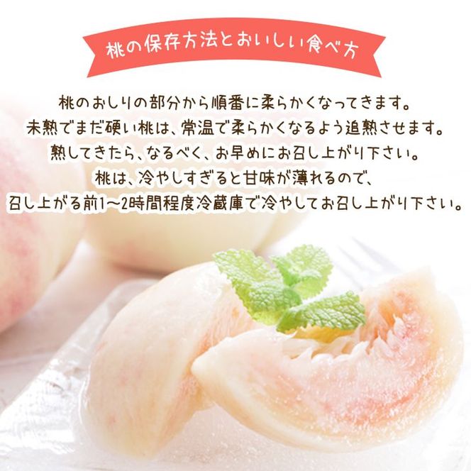 【先行予約】【夏の美味】フルーツ王国 和歌山の桃 約2kg 化粧箱入り | もも モモ 桃 国産 フルーツ 果物 果実 お取り寄せ ギフト デザート スイーツ 贈り物（fr-06）