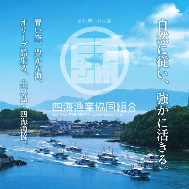 【 小豆島 】 小豆島産 鱧 100％使用！小豆島鱧すり身250g×3袋セット 加工食品 魚 すり身 ハモ ミンチ 香川 香川県 土庄 土庄町
