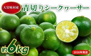 【2026年発送】大宜味村 青切りシークワーサー 約6kg 沖縄 おきなわ 大宜味村 果物 くだもの 果実 シークワーサー しーくわーさー 青切り 沖縄県産 産地直送 お取り寄せ 人気 食品 送料無料 国産 県産 ご当地 やんばる ノビレチン