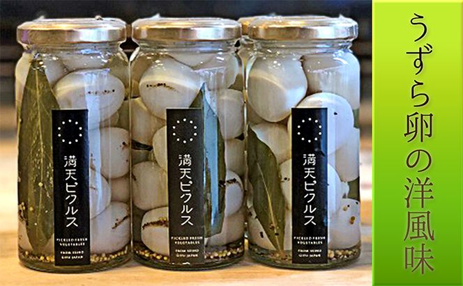 満天ピクルスおまかせ3本セット 漬物 缶詰 加工食品 