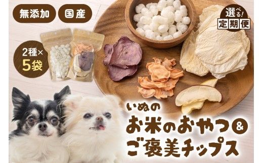 いぬのお米のおやつ25g×3袋 いぬのご褒美チップス20g×2袋 ペットフード 犬 無添加 おやつ 美味しい ご褒美 ドッグフード いぬ 犬用 いぬ用 愛犬用 R030-014