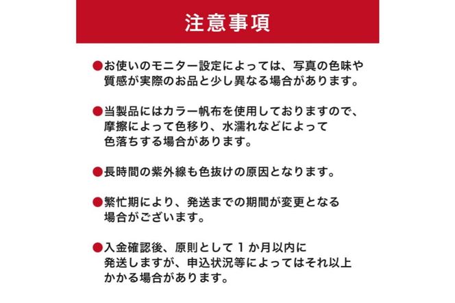 【色が選べる】靴職人が作る帆布バッグ（8号帆布のミニトート） 【0062-008】