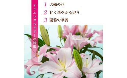 ユリ オリエンタルリリー 選べる 5本 7本 10回定期便 花 花束 お花 ゆり プレゼント 贈答 ギフト 贈り物 誕生日 お祝い 母の日 父の日 供花 献花 お見舞い 植物 インテリア 季節限定 定期 つぼみ 大輪 ピンク 白 福田園芸 メッセージカード 高級 切り花 香り ブーケ ウェディング エレガント 優美 安芸市 高知県