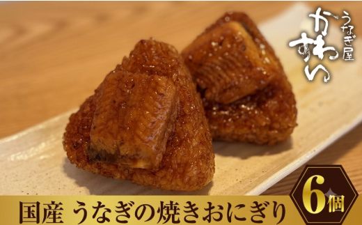 国産うなぎの焼きおにぎり６個セット(A881-2)